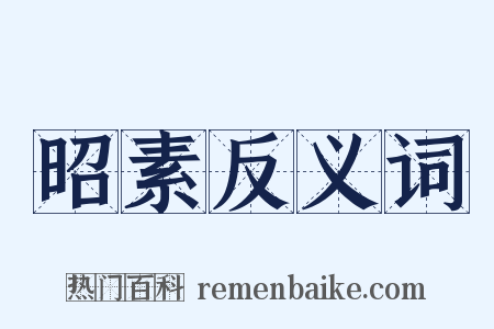 昭素反义词是什么意思的图片